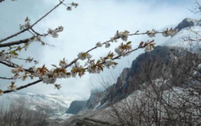 El escondite del Miera 