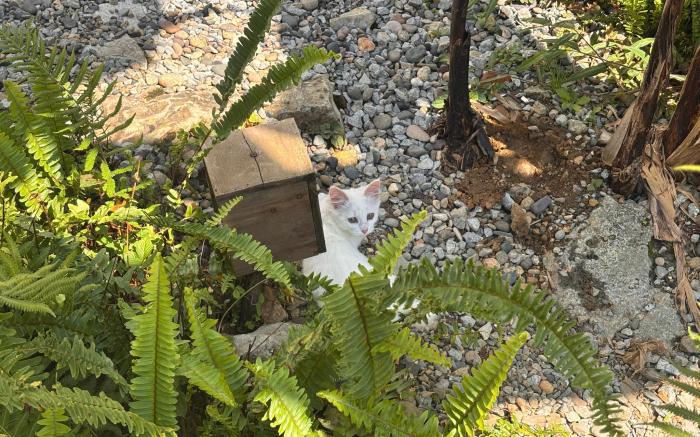 Whisper Stay I The Garden Home