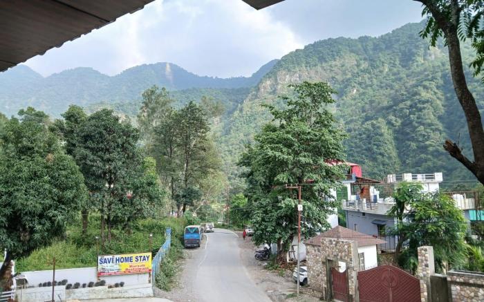 Peacock Feather Home Stay