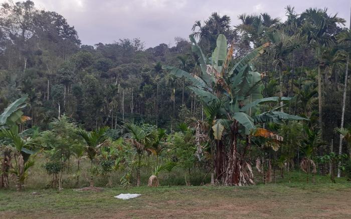 Malavantige Estate Tent Stay