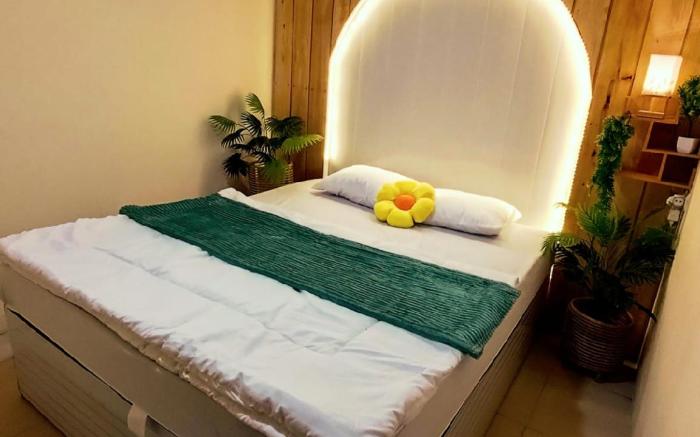 Dieng Hebat Glamping & villa