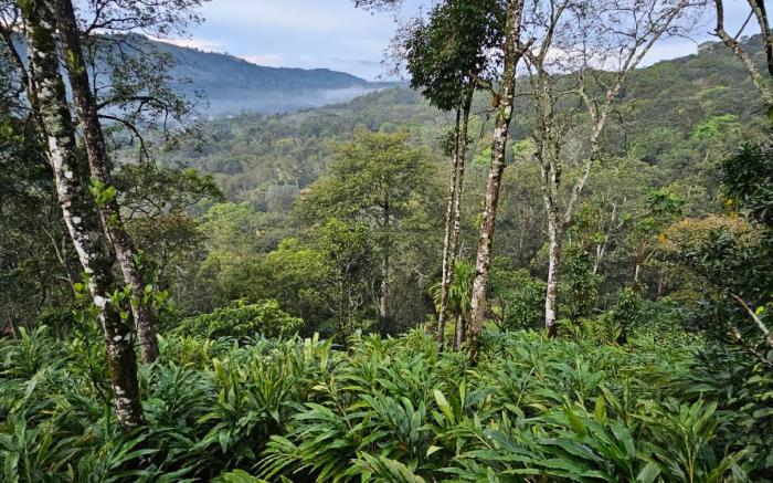 Valley Homestay munnar 