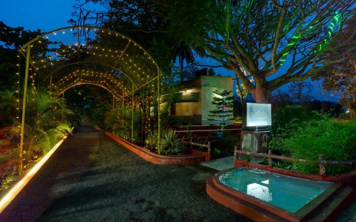 The Whistling Pine Woods 