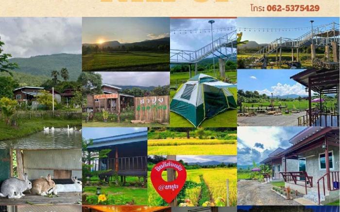 นาปุย คันทรีโฮม  ( Napui Countryhome )