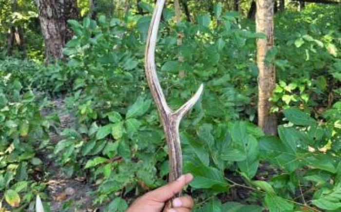 Ishq Sanctum- A Conscious Guest House