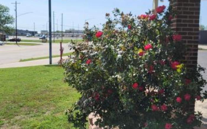 Lamplighter Inn Independence