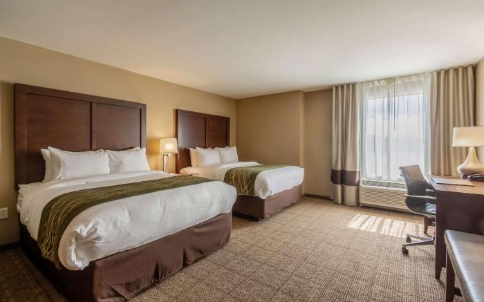 Comfort Inn & Suites - Harrisburg Airport - Hershey South