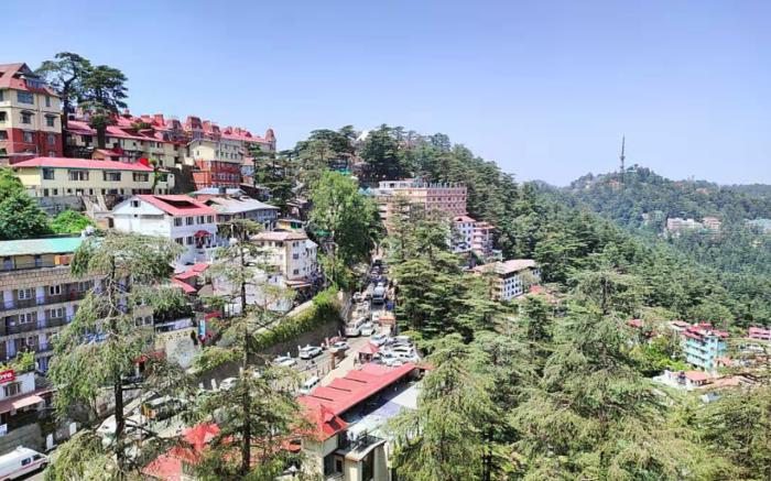 Lords Grey near Mall Road