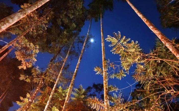 Nature Escape: Cozy Tent Retreat Riverside