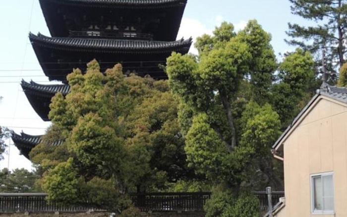 Ryokan Kosen