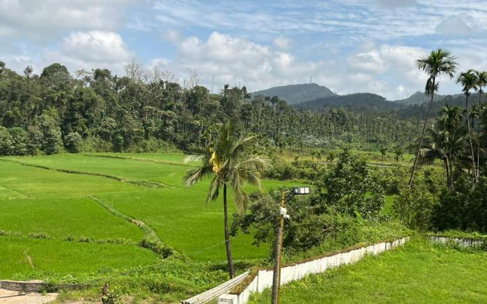 Bean in breeze homestay coorg