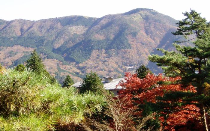 Hotel Marroad Hakone