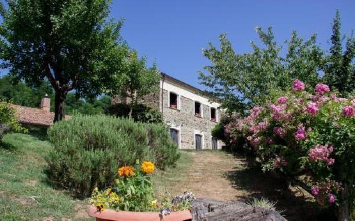 La Rosa Nel Bicchiere