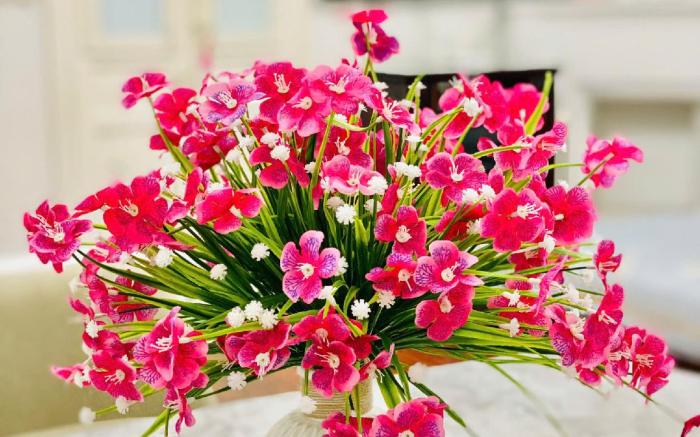 COCOSTAY - 55 HANG BO - OLD QUARTER