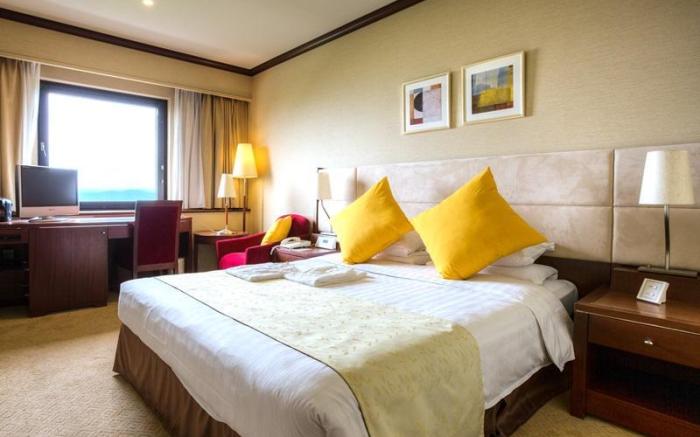 Okayama International Hotel