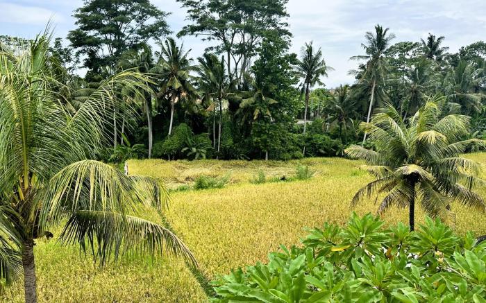 Vista-Luxury 2BR • Pool • Rooftop Over Rice Fields