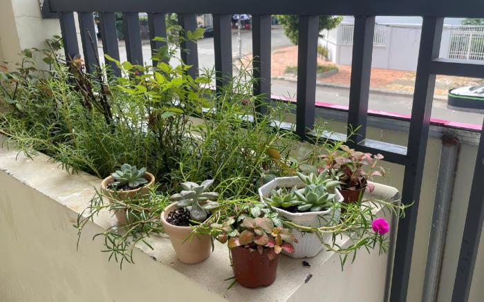 Candy's House - Cần Thơ