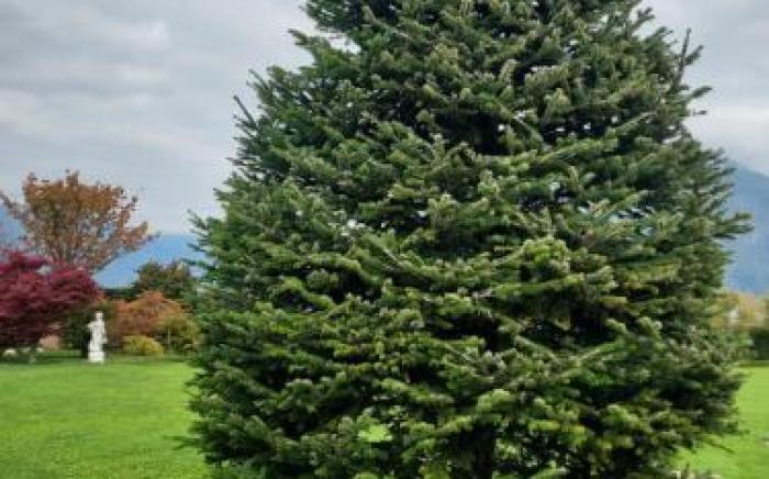 Agriturismo Coi de Pera