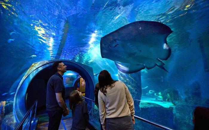 City View Haven in South Melbourne