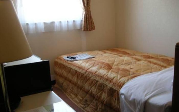 Business Hotel Nissei