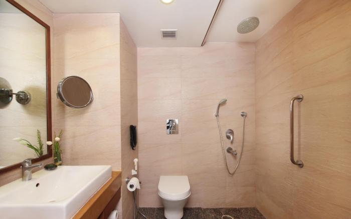 Maurya Patna Hotel