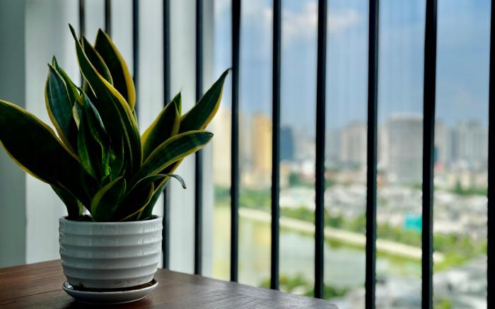 Studio in a Luxury @Vinhomes Green Bay Ha Noi