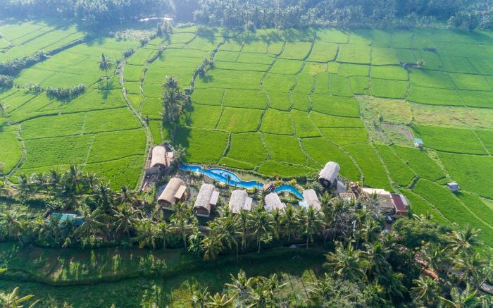 Beehouse Dijiwa Ubud