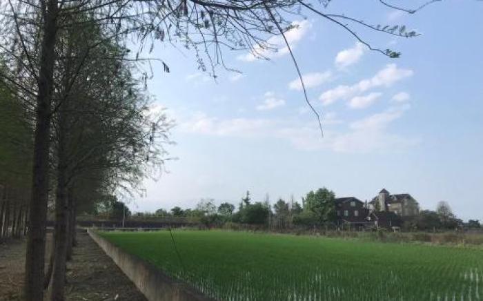 羽光漫步l 2-6人包棟