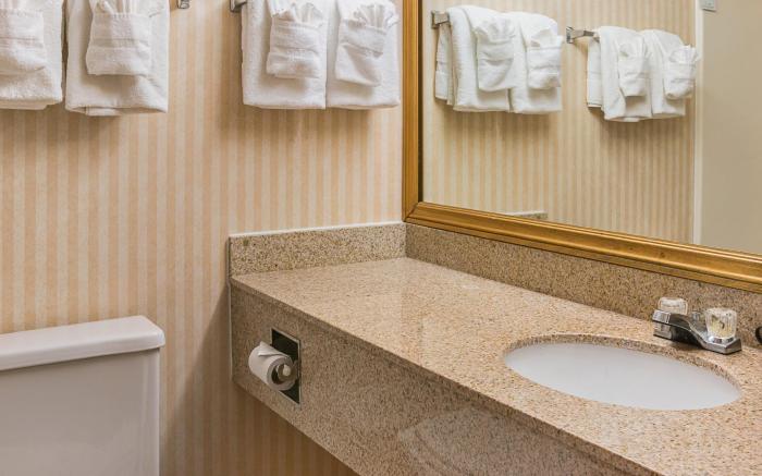 Quality Inn & Suites Detroit Metro Airport