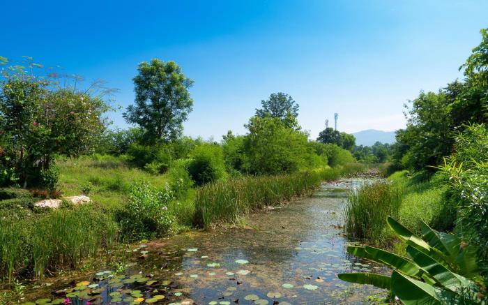 Chiw Rim Chon Resort Pak Chong