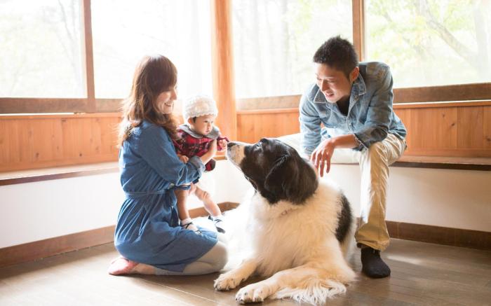 Wan Wan Paradise Tateshina