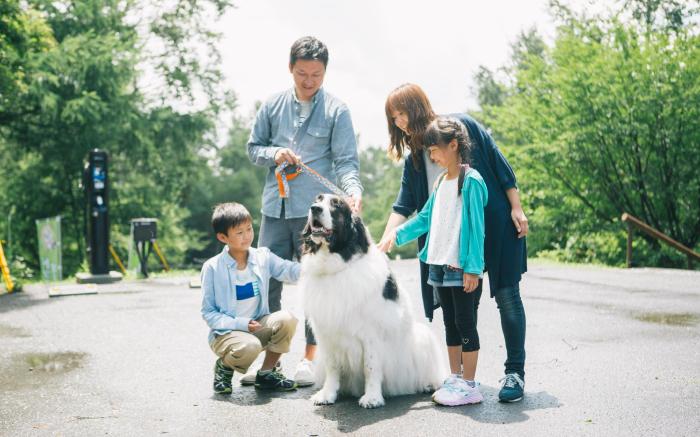 Wan Wan Paradise Tateshina