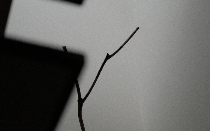 與裏YuLi 包棟民宿