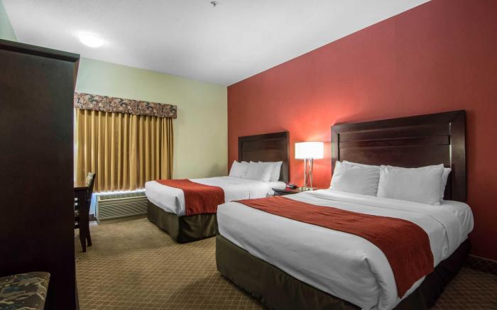 Comfort Inn & Suites Airport South