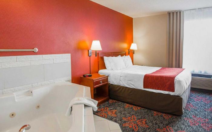 Comfort Inn & Suites University