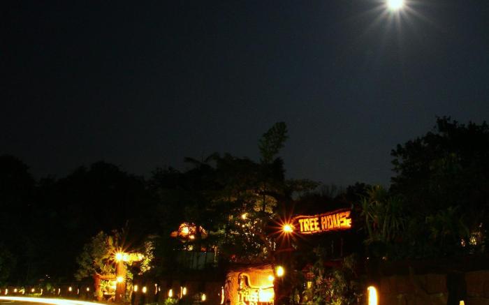 Khaosok Treehouse Resort