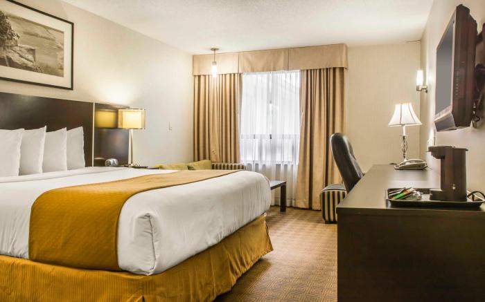 Quality Hotel