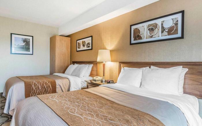 Comfort Inn