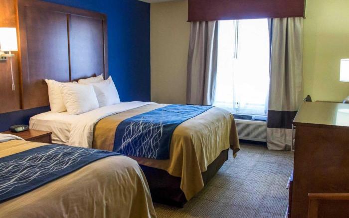 Comfort Inn & Suites Statesboro - University Area