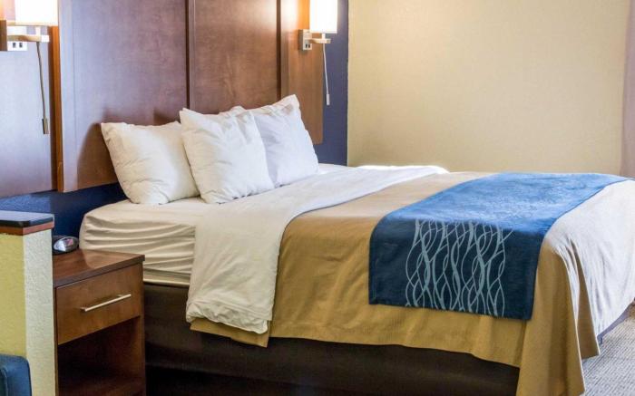 Comfort Inn & Suites Statesboro - University Area