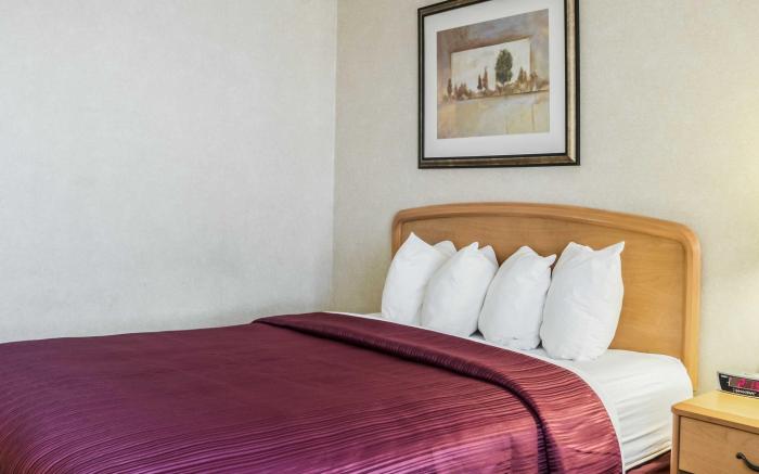 Quality Inn & Suites South
