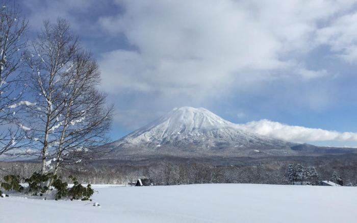 Andaru Collection Niseko