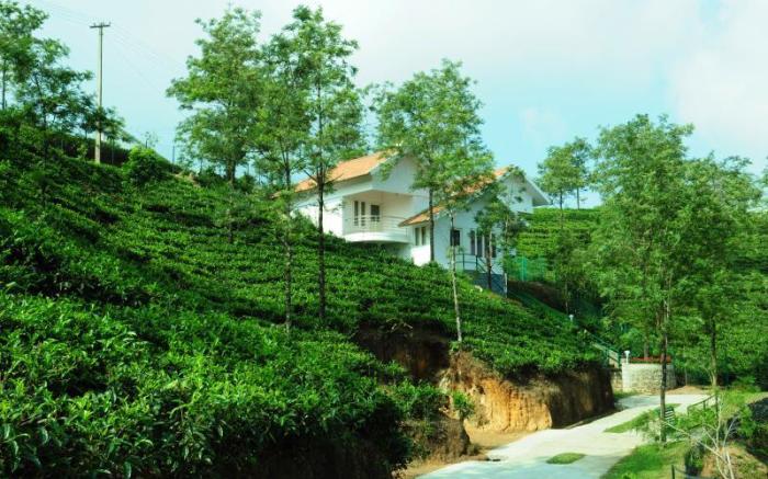 Falcon Crest Vagamon