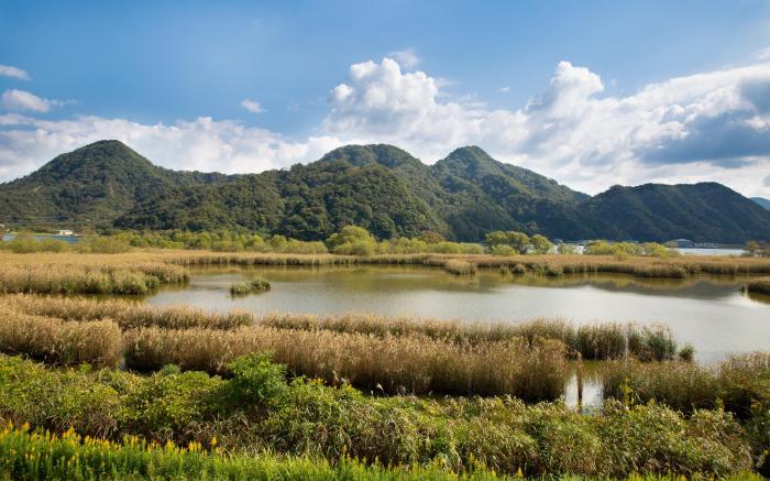 Kinosaki Onsen Oyado Seri