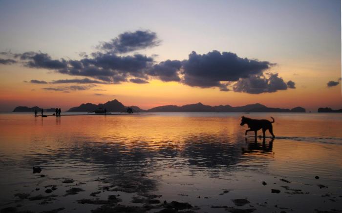 El Nido Royal Palm Inn Inc.