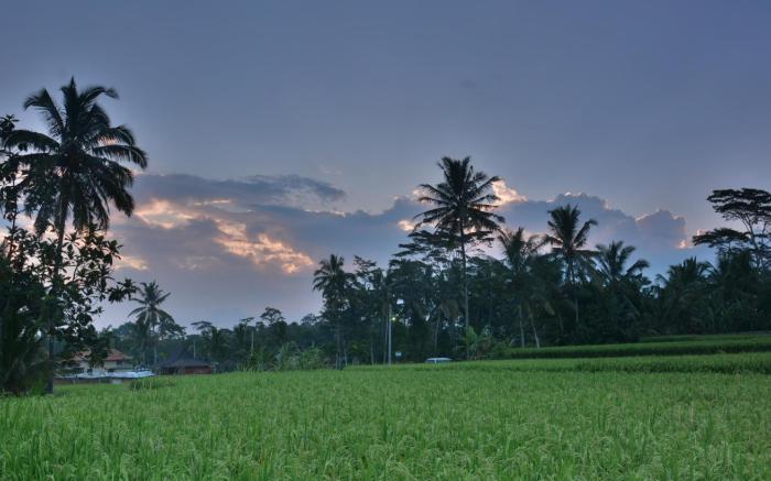 Villa JJ and Spa Ubud