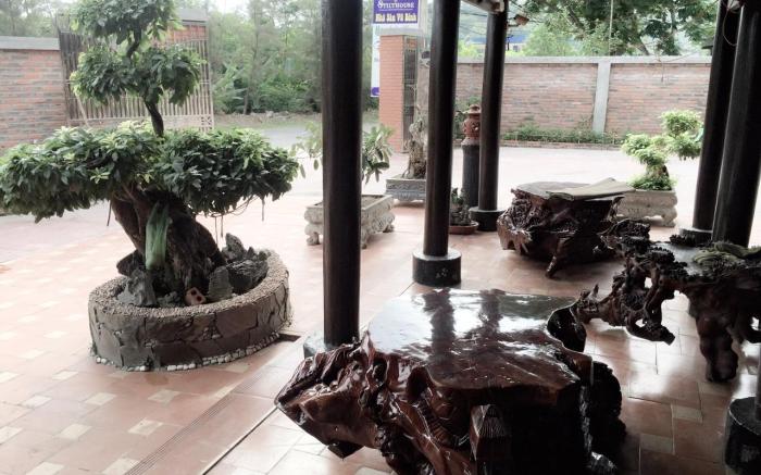 Vu Binh Stilthouse