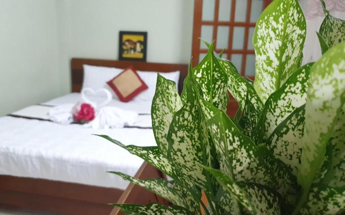 Truong Son Hotel