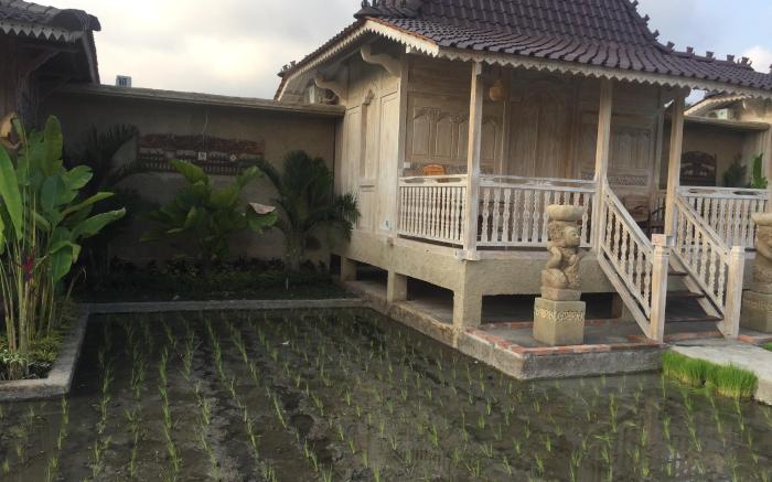 Di Uma Sebatu