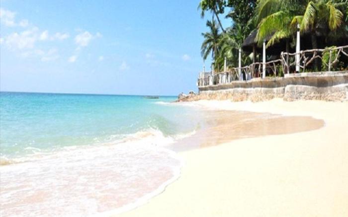 MDF Beach Resort and Day Tours near Whalesharks